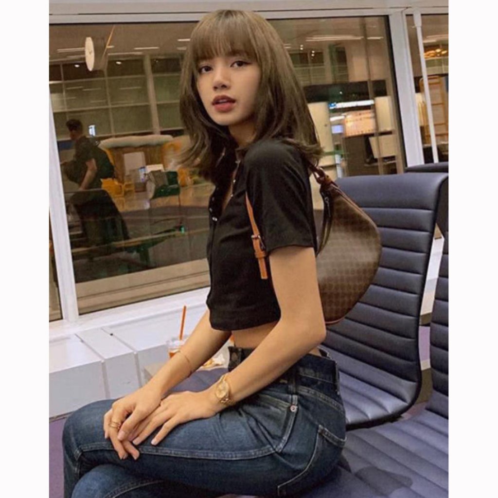 celine ava bag in triomphe canvas price