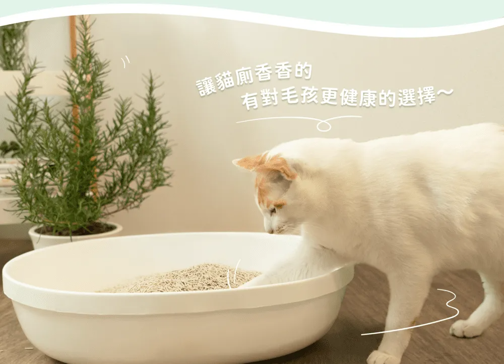 讓貓廁香香的有對毛孩更健康的選擇