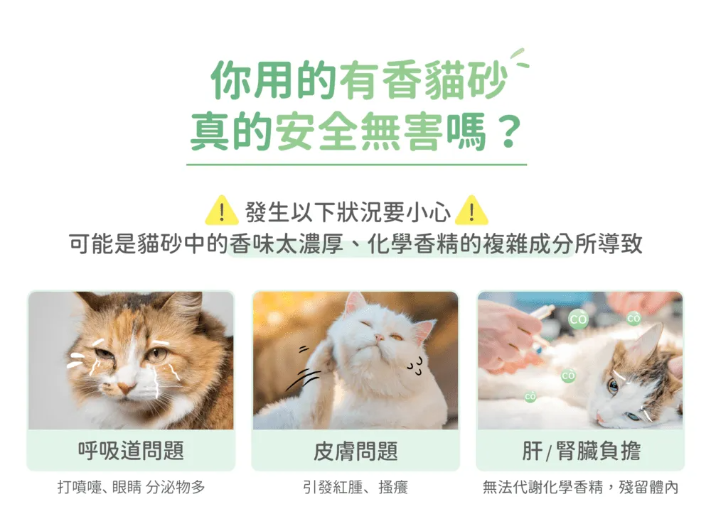 你用的有香貓砂真的安全無害嗎?發生以下狀況要小心!可能是貓砂中的香味太濃厚化學香精的複雜成分所導致CO呼吸道問題皮膚問題肝腎臟負擔打噴嚏、眼睛 分泌物多引發紅腫、搔癢無法代謝化學香精,殘留體內