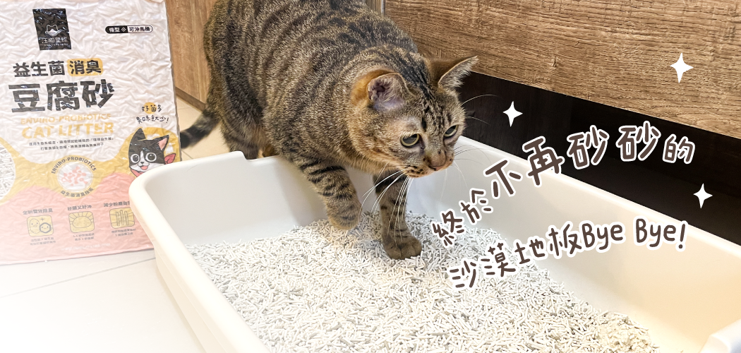 終於不再砂砂的,向家裡沙漠地版BYE BYE!