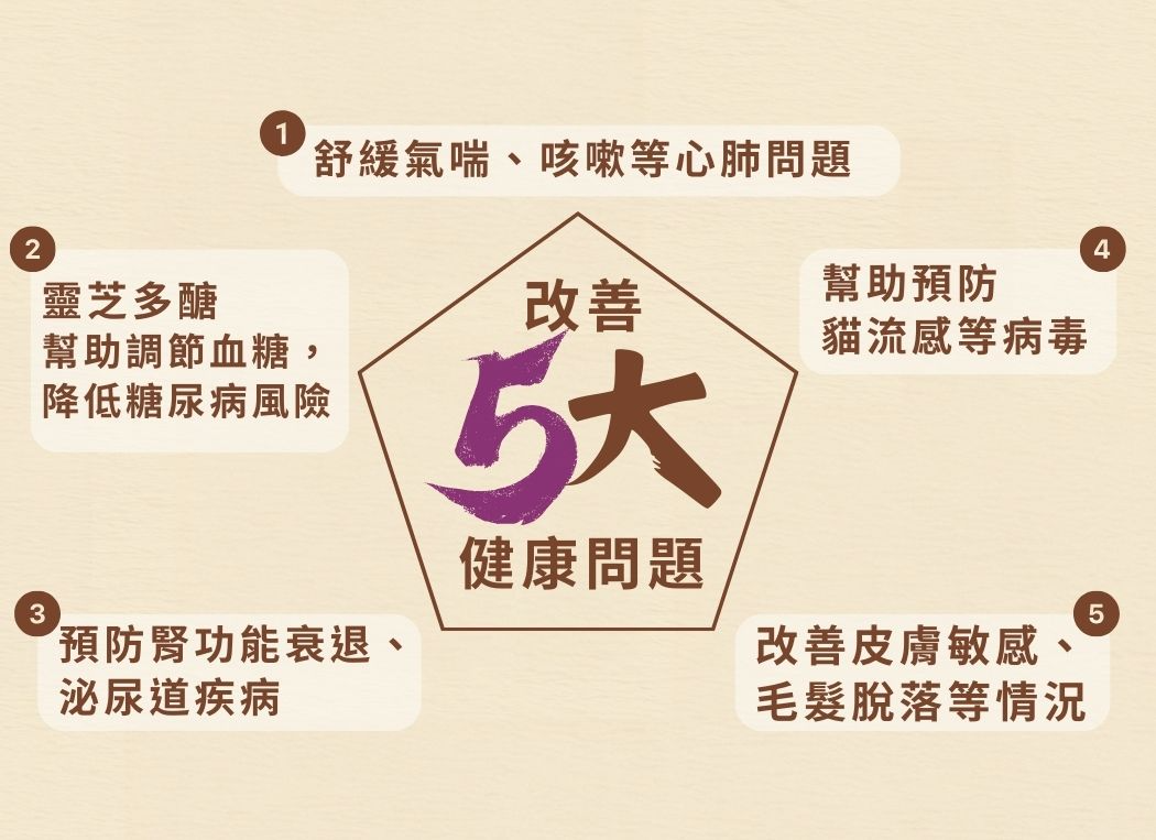 20241103_Cosset_1050X763 _靈芝孢子蟲草貓用肉粒配方 - 3