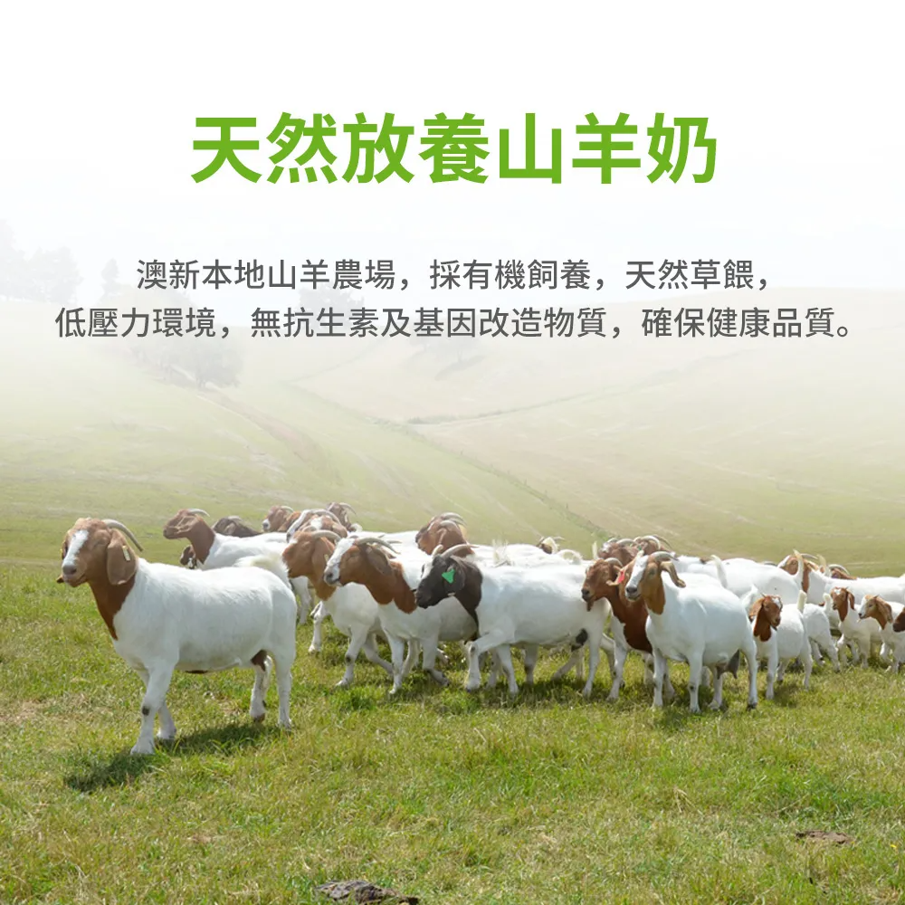 天然放養山羊奶澳新本地山羊農場,採有機飼養,天然草餵,低壓力環境,無抗生素及基因改造物質,確保健康品質。
