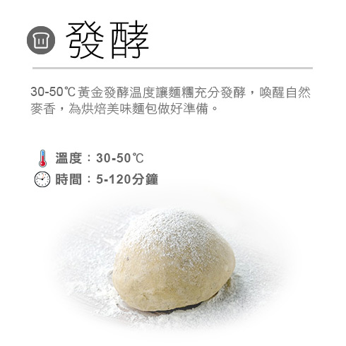 German Pool 德國寶 SGO-2140M 40公升 座檯式多功能蒸氣焗爐