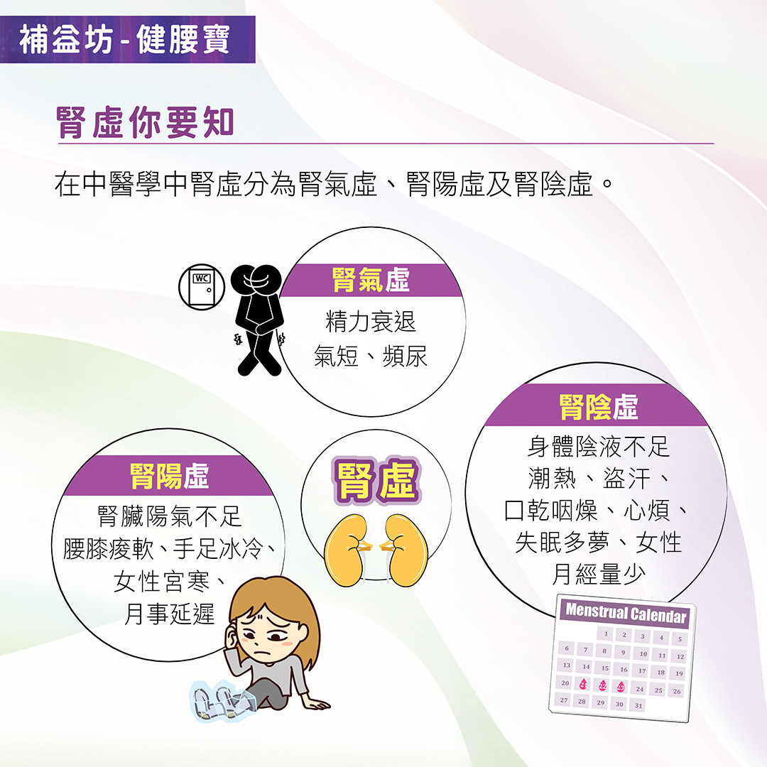 在中醫學中腎虛分為腎氣虛、腎陽虛及腎陰虛。腎氣虛是指精力衰退，氣短、頻尿。腎陽虛指腎臟陽氣不足，包含腰膝痠軟、手足冰冷、小便頻繁、陽痿、女性可能宮寒、月事延遲等。腎陰虛是指身體陰液不足，包含潮熱、盜汗、口乾咽燥、心煩、失眠多夢，女性可能月經量少等。