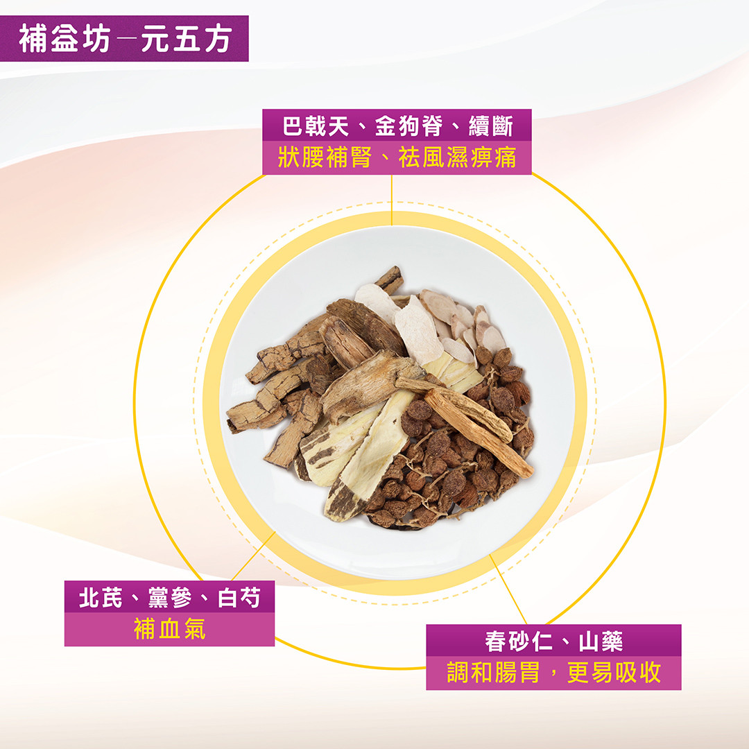 巴戟天、金狗脊、續斷 狀腰補腎、祛風濕痹痛 北芪、黨参、白芍 補血氣 春砂仁、山藥 調和腸胃，更易吸收