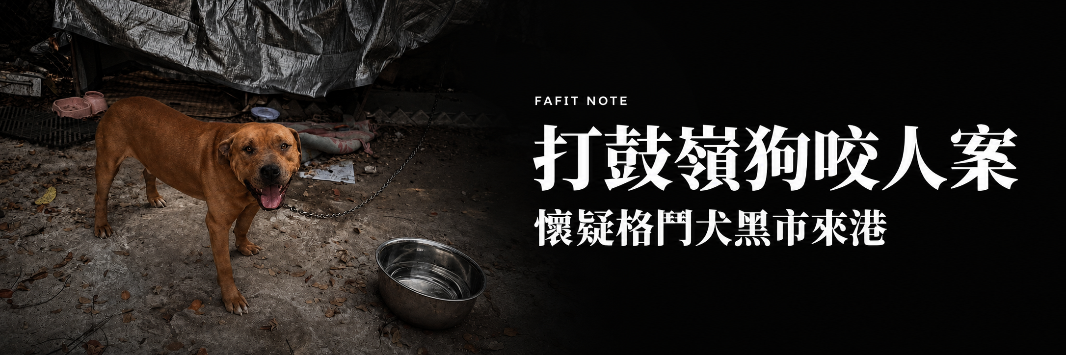 打鼓嶺狗咬人案｜格鬥犬疑經黑市來港