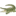 🐊