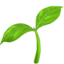 🌱