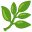 🌿