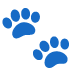 🐾