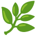 🌿