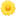 🌼