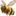 🐝