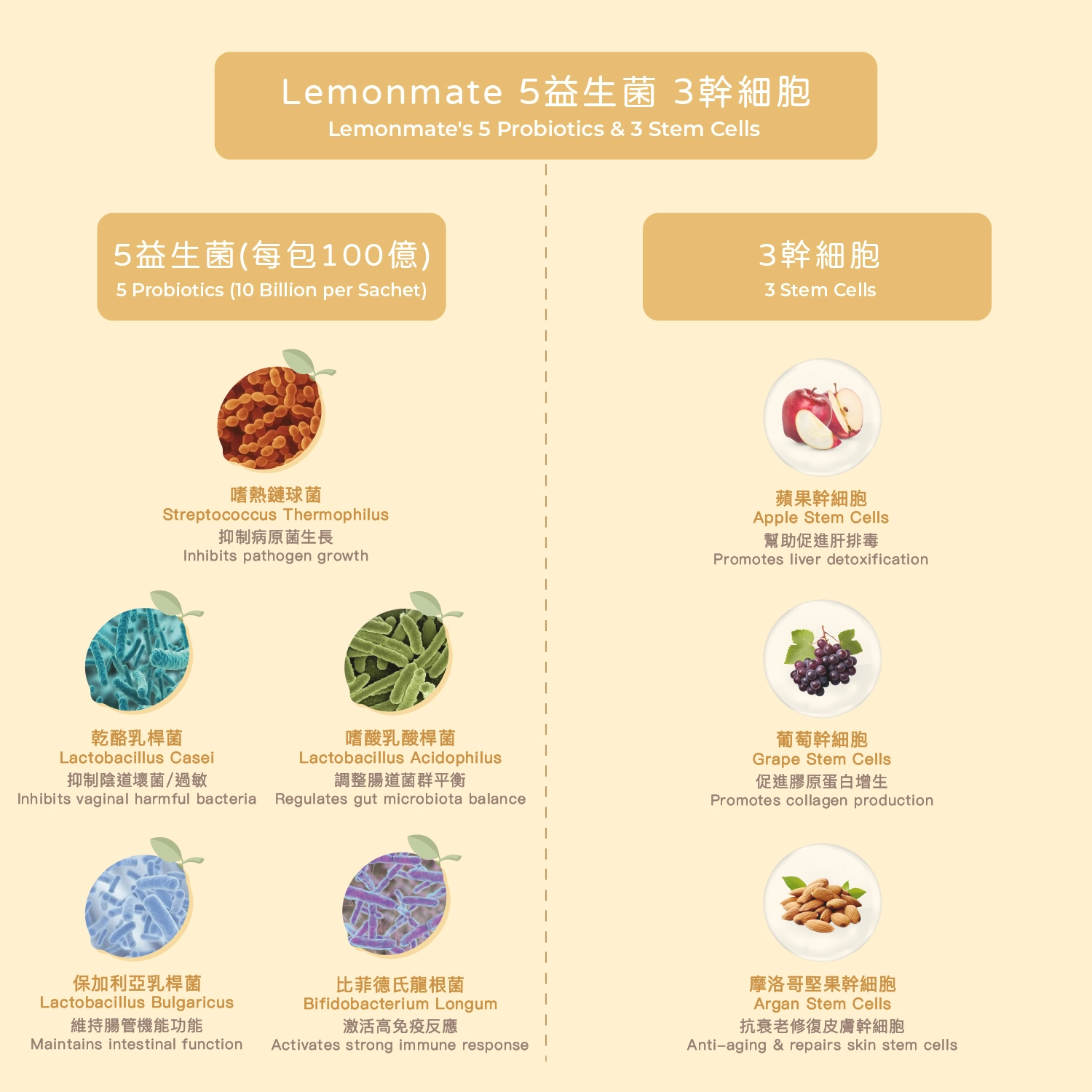 GirlWorld_Lemonmate網站簡介圖4.jpg