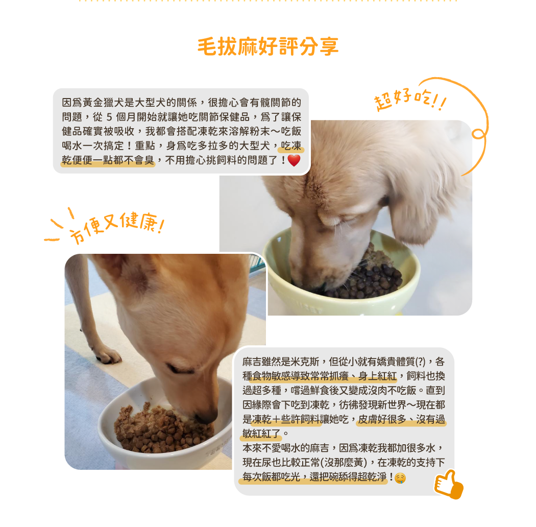 汪喵凍乾餐使用者見證