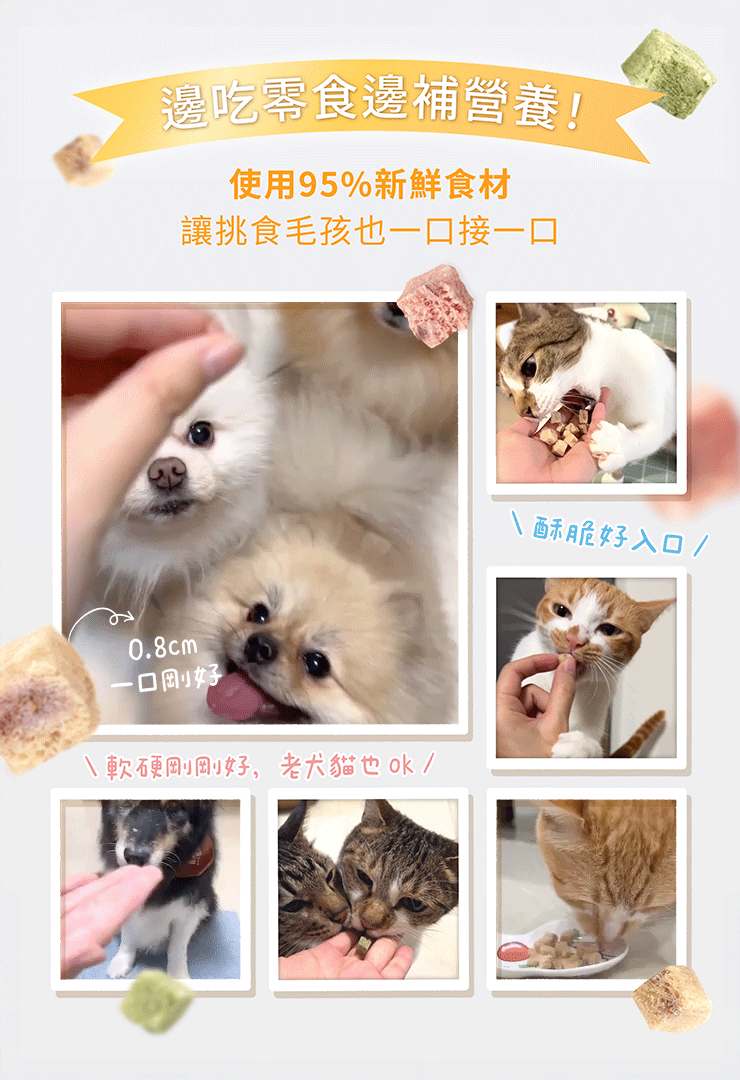機能丁