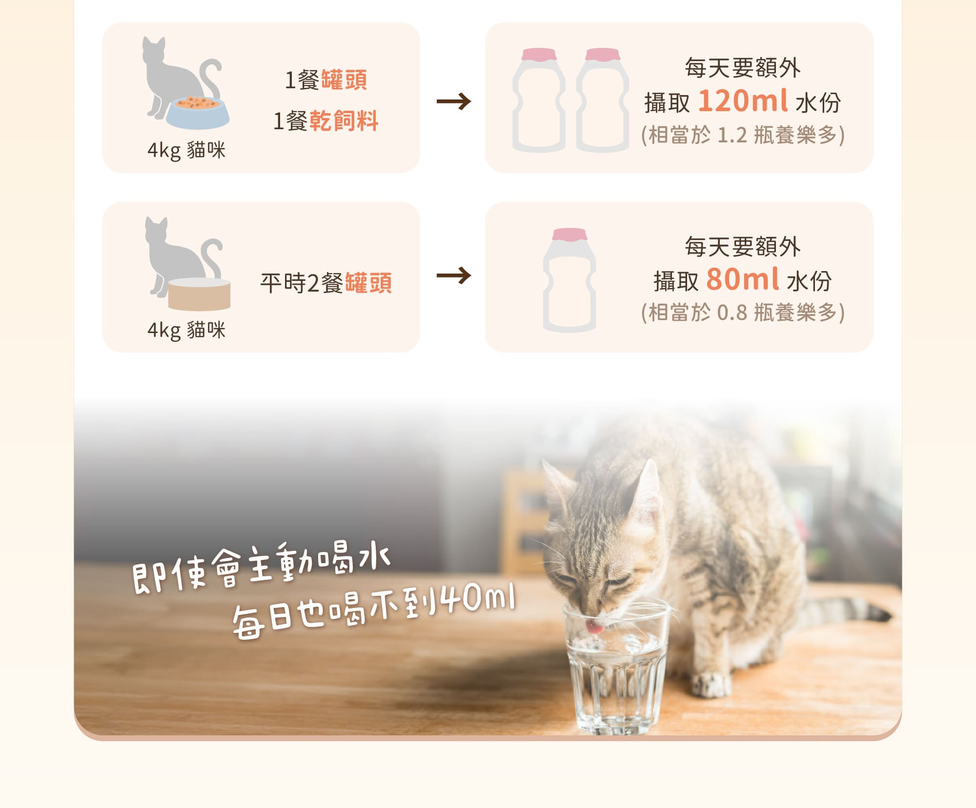 貓迷你罐 貓罐頭 貓主食罐 汪喵星球主食罐 貓罐頭推薦