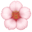 🌸