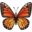 🦋