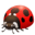 🐞