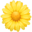 🌼