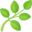 🌿