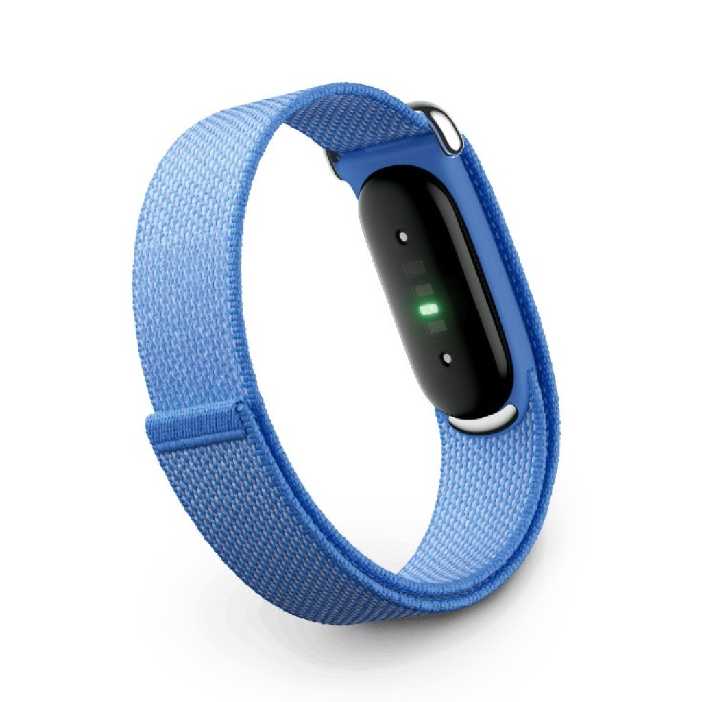 Google Fitbit Air (6 色)