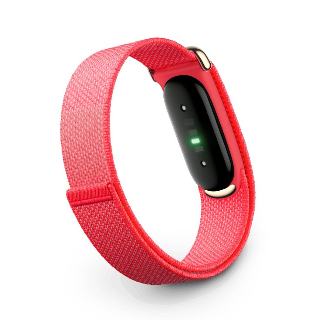 Google Fitbit Air (6 色)