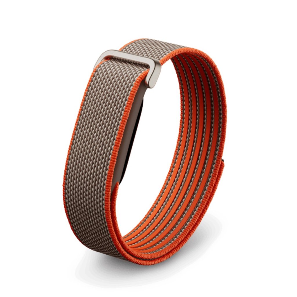 Google Fitbit Air (6 色)