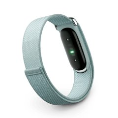 Google Fitbit Air (6 色)