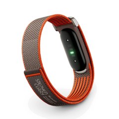 Google Fitbit Air (6 色)