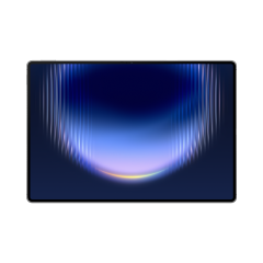 HUAWEI MatePad Pro Max 13.2" WiFi (國行版)