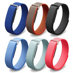 Google Fitbit Air (6 色)