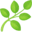 🌿