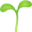 🌱